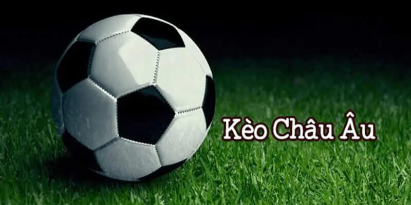 Kinh nghiệm soi kèo châu Âu được các chuyên gia chia sẻ